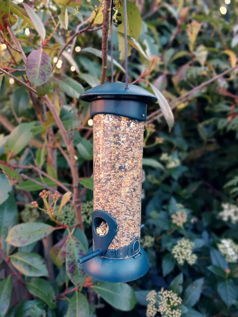 Copdock Mill Feeder Easy Fill and Clean Seed-1